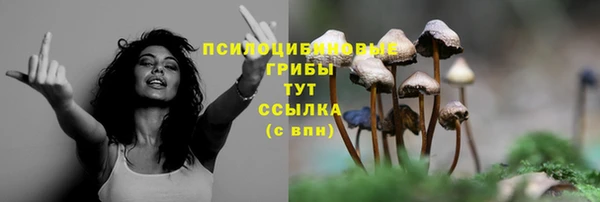 амф Белокуриха