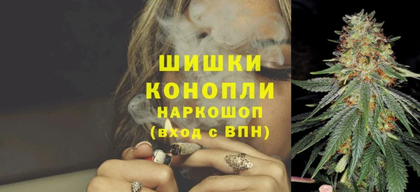 амф Белокуриха